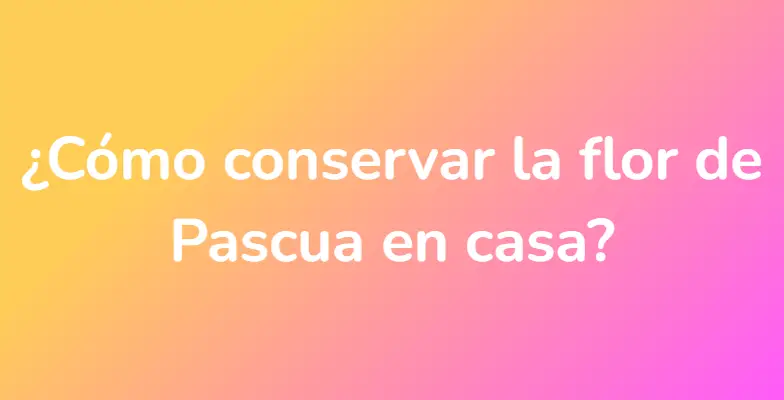 ¿Cómo conservar la flor de Pascua en casa?