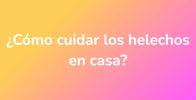 ¿Cómo cuidar los helechos en casa?