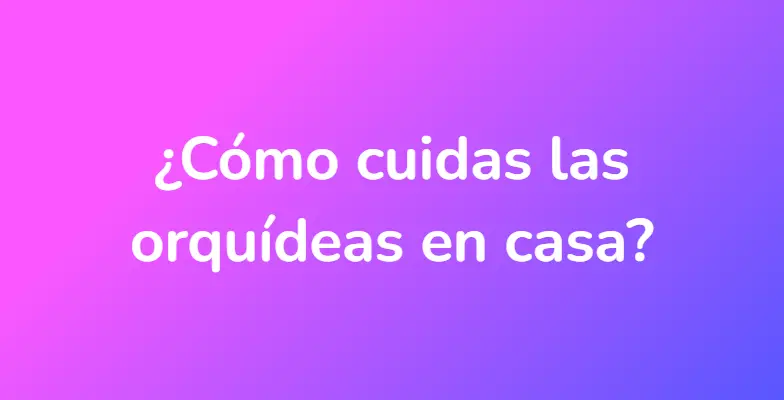 ¿Cómo cuidas las orquídeas en casa?