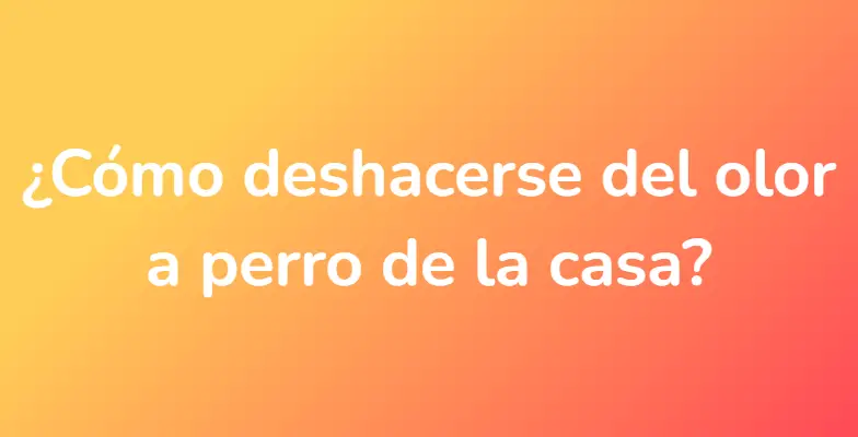 ¿Cómo deshacerse del olor a perro de la casa?