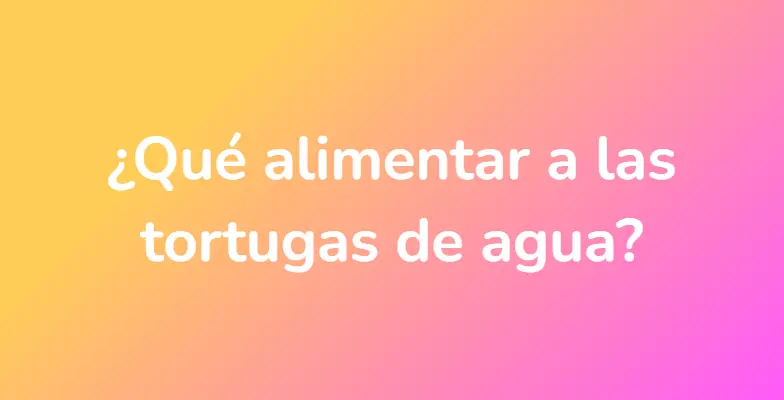 ¿Qué alimentar a las tortugas de agua?