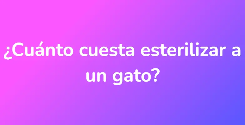 ¿Cuánto cuesta esterilizar a un gato?