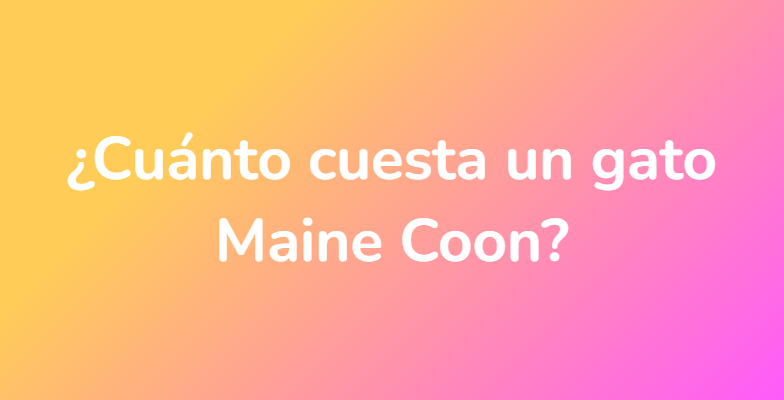 ¿Cuánto cuesta un gato Maine Coon?