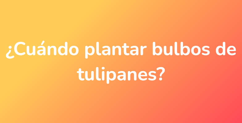 ¿Cuándo plantar bulbos de tulipanes?