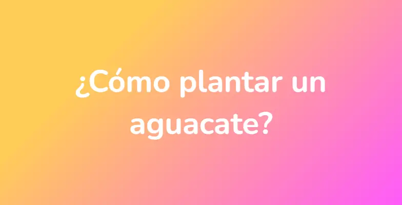 ¿Cómo plantar un aguacate?