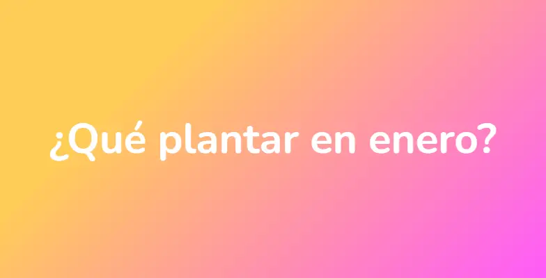 ¿Qué plantar en enero?