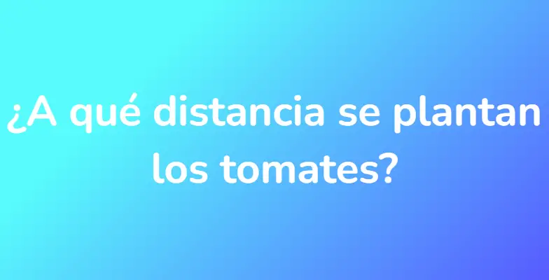 ¿A qué distancia se plantan los tomates?