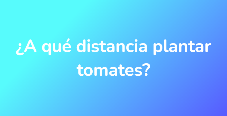 ¿A qué distancia plantar tomates?