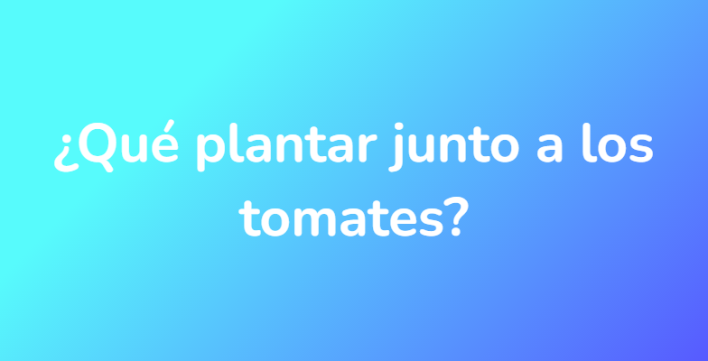 ¿Qué plantar junto a los tomates?