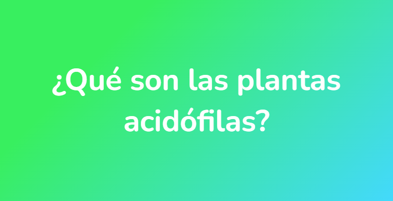 ¿Qué son las plantas acidófilas?