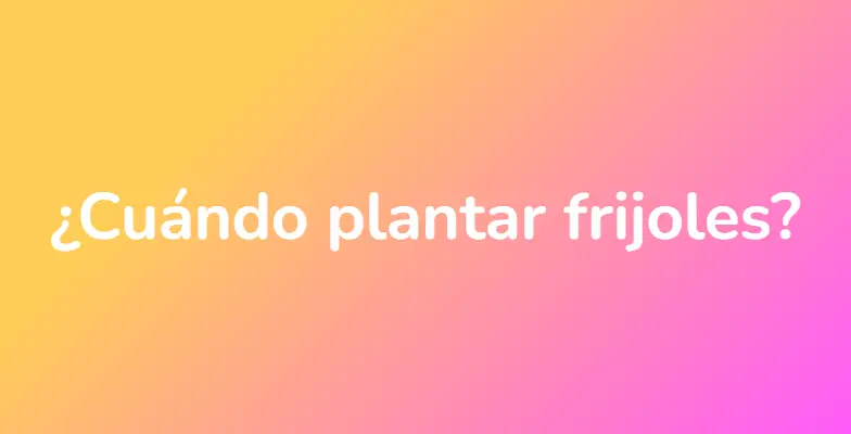 ¿Cuándo plantar frijoles?