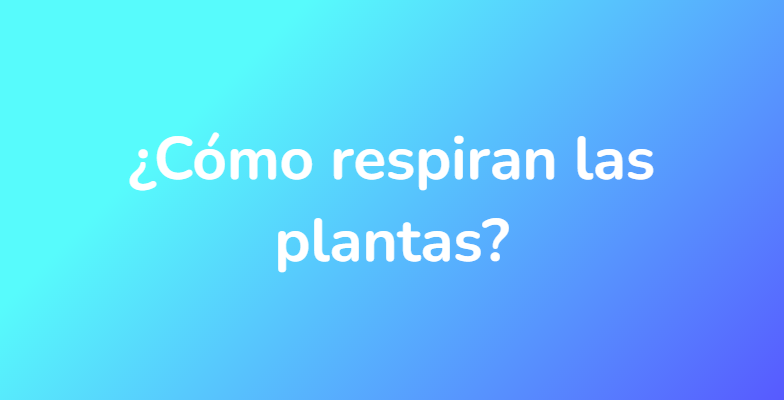 ¿Cómo respiran las plantas?