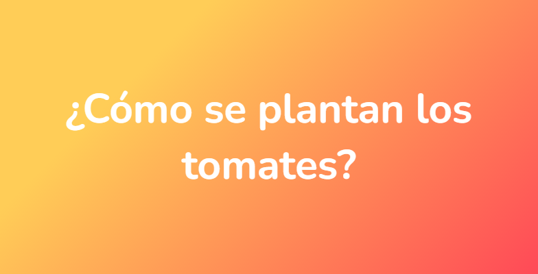 ¿Cómo se plantan los tomates?
