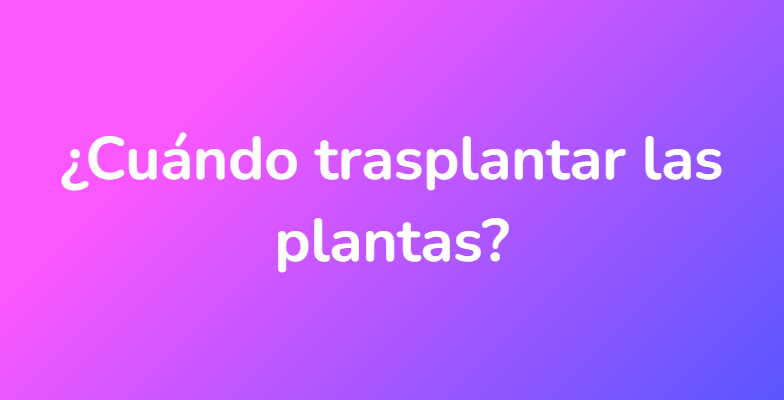 ¿Cuándo trasplantar las plantas?