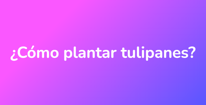¿Cómo plantar tulipanes?