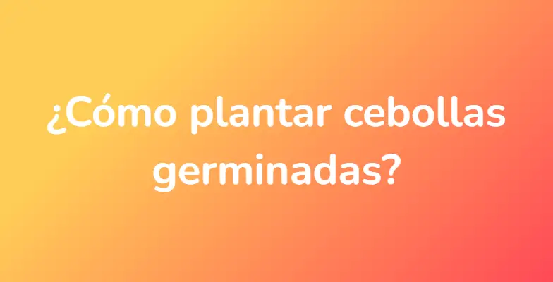 ¿Cómo plantar cebollas germinadas?