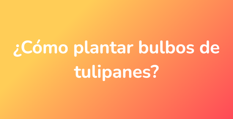¿Cómo plantar bulbos de tulipanes?