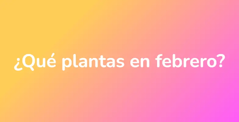 ¿Qué plantas en febrero?