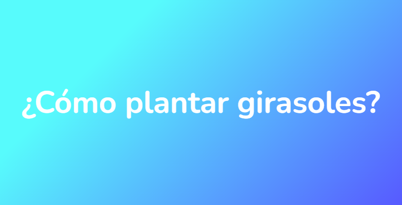 ¿Cómo plantar girasoles?