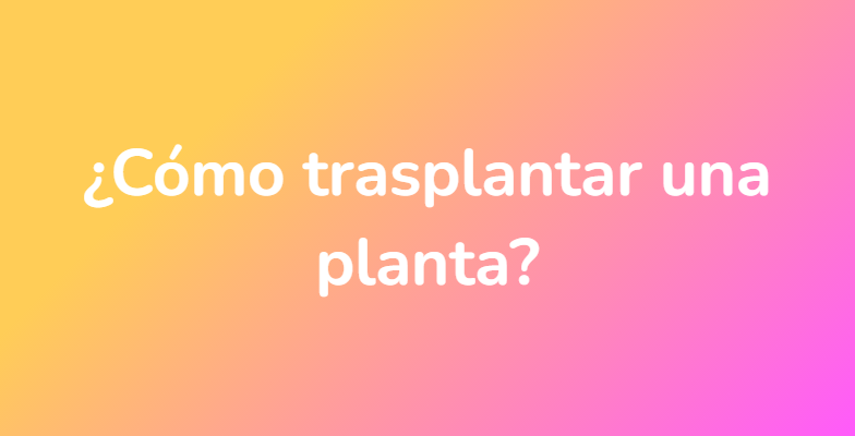 ¿Cómo trasplantar una planta?
