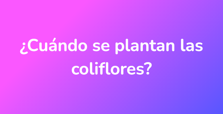 ¿Cuándo se plantan las coliflores?