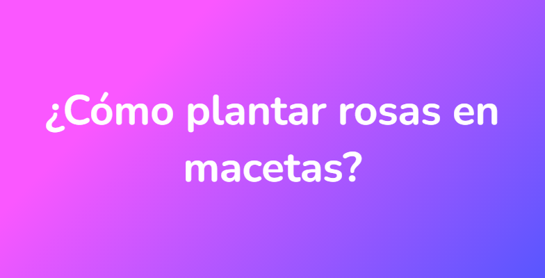 ¿Cómo plantar rosas en macetas?