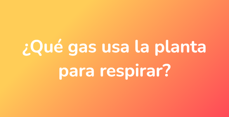 ¿Qué gas usa la planta para respirar?