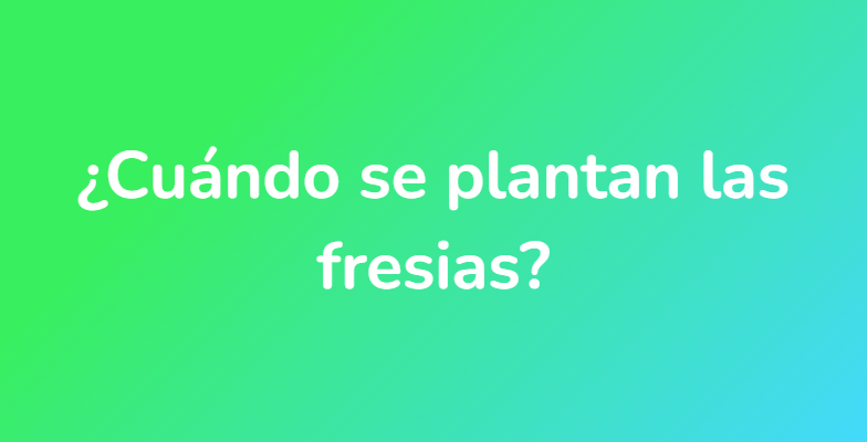 ¿Cuándo se plantan las fresias?
