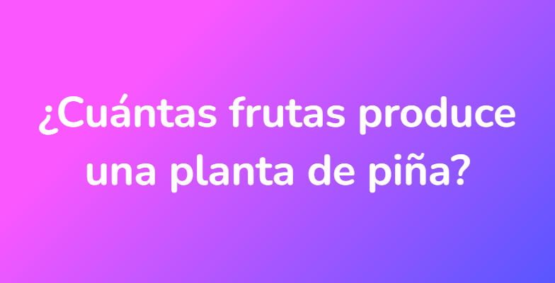 ¿Cuántas frutas produce una planta de piña?