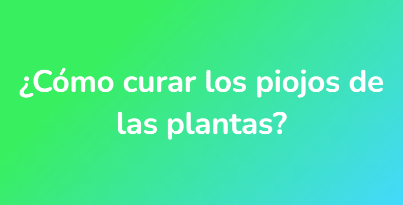 ¿Cómo curar los piojos de las plantas?