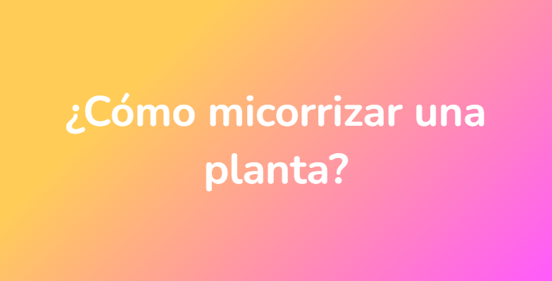 ¿Cómo micorrizar una planta?