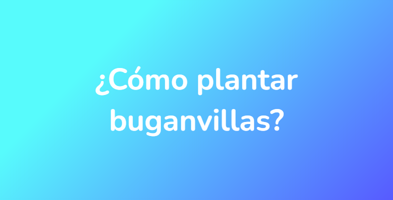 ¿Cómo plantar buganvillas?