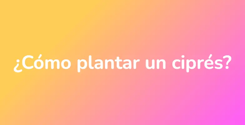 ¿Cómo plantar un ciprés?