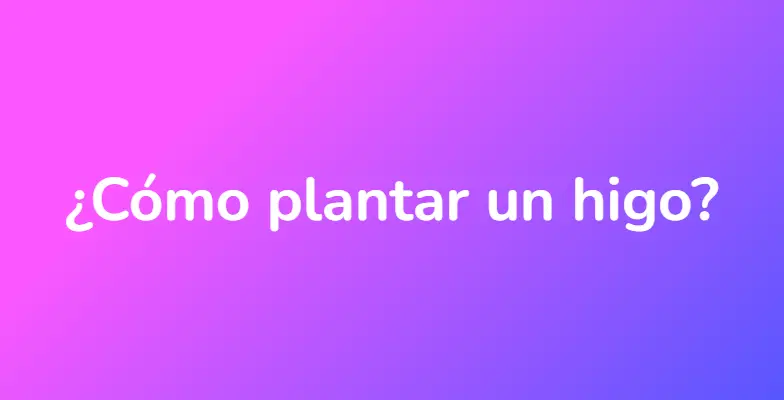 ¿Cómo plantar un higo?