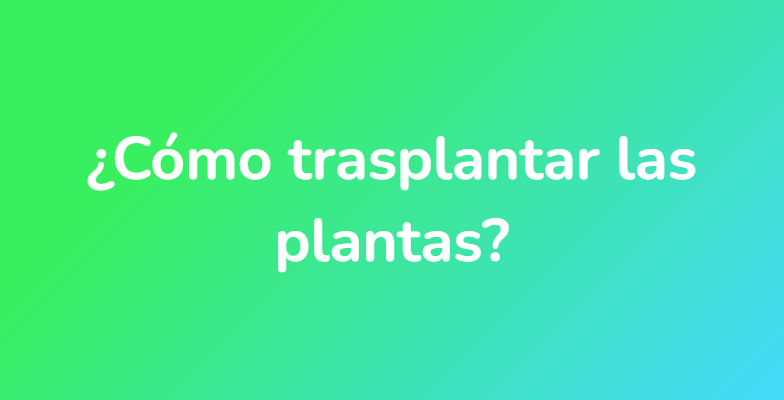 ¿Cómo trasplantar las plantas?