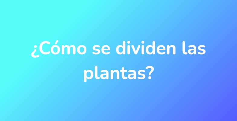 ¿Cómo se dividen las plantas?
