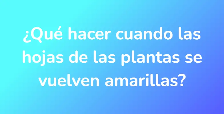 ¿Qué hacer cuando las hojas de las plantas se vuelven amarillas?