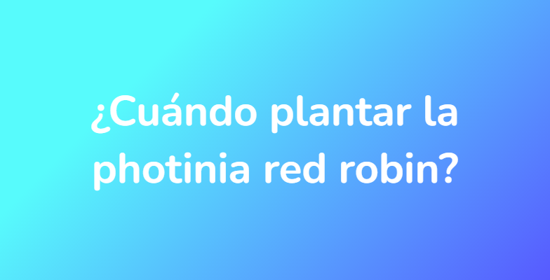 ¿Cuándo plantar la photinia red robin?