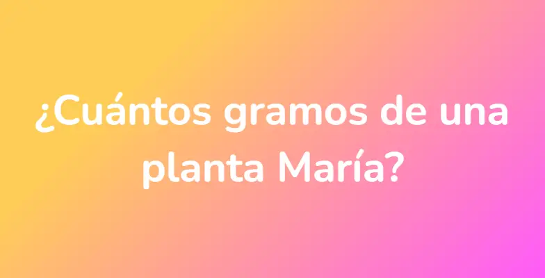 ¿Cuántos gramos de una planta María?