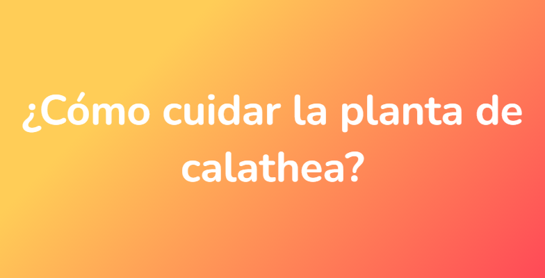 ¿Cómo cuidar la planta de calathea?