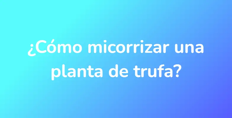 ¿Cómo micorrizar una planta de trufa?