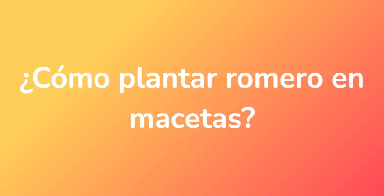 ¿Cómo plantar romero en macetas?