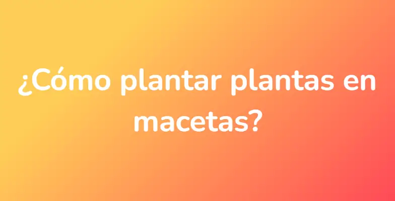 ¿Cómo plantar plantas en macetas?