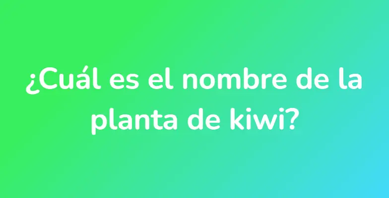 ¿Cuál es el nombre de la planta de kiwi?