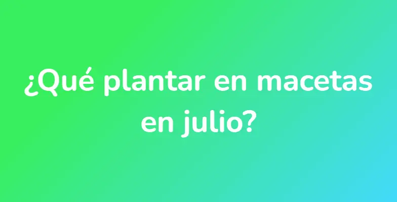 ¿Qué plantar en macetas en julio?