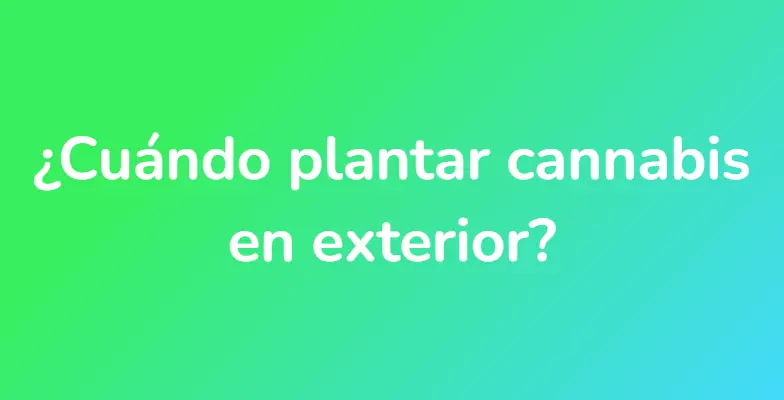 ¿Cuándo plantar cannabis en exterior?