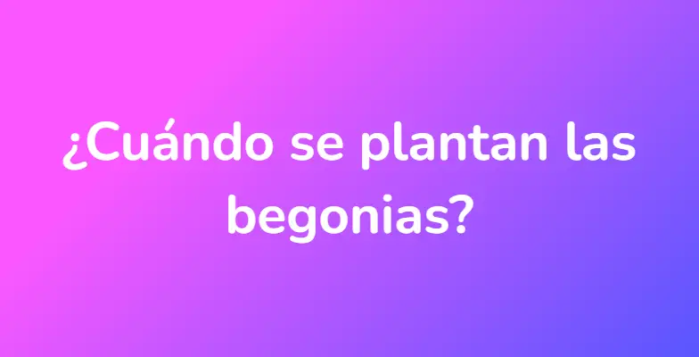 ¿Cuándo se plantan las begonias?