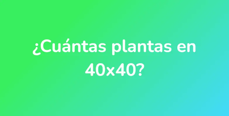 ¿Cuántas plantas en 40x40?