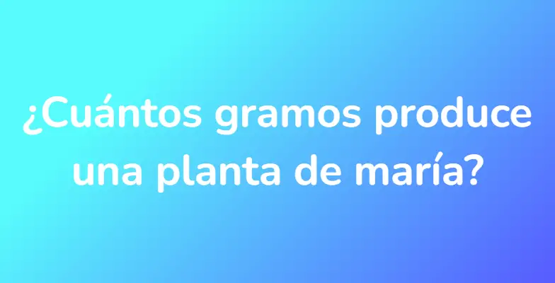 ¿Cuántos gramos produce una planta de maría?