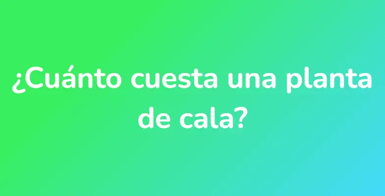 ¿Cuánto cuesta una planta de cala?